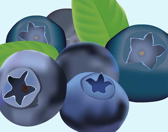 659x519-blueberries